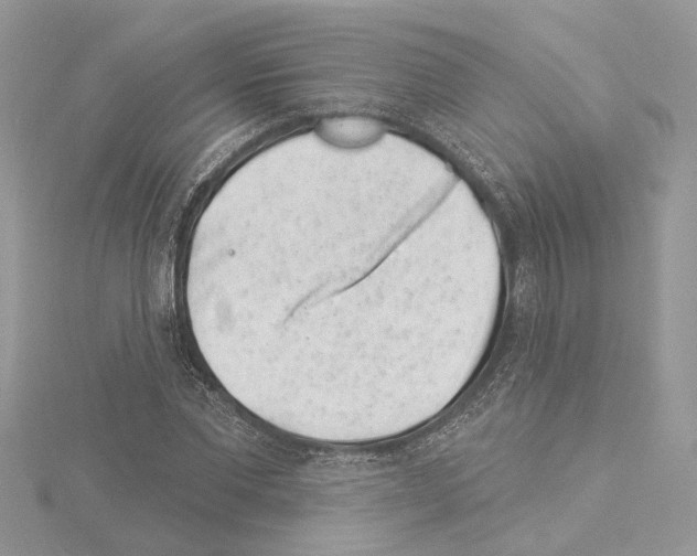 X0000114490877200911301104