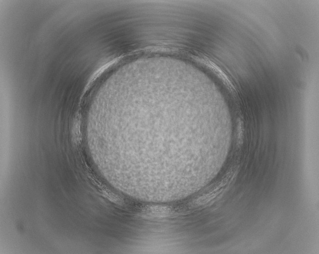 X0000114490878200911301104