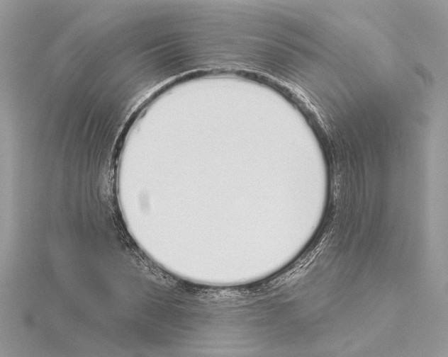 X0000114490879200911301104