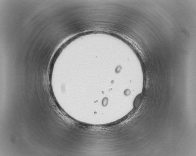 X0000114490880200911301103