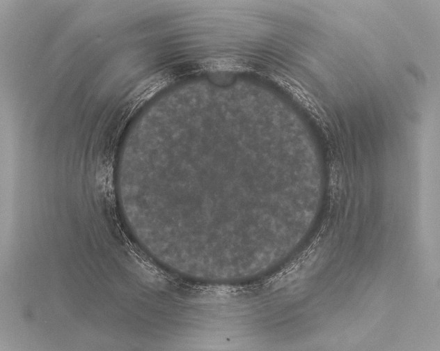 X0000114490881200911301103