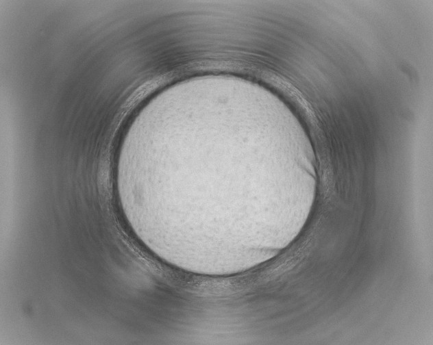 X0000114490882200911301103