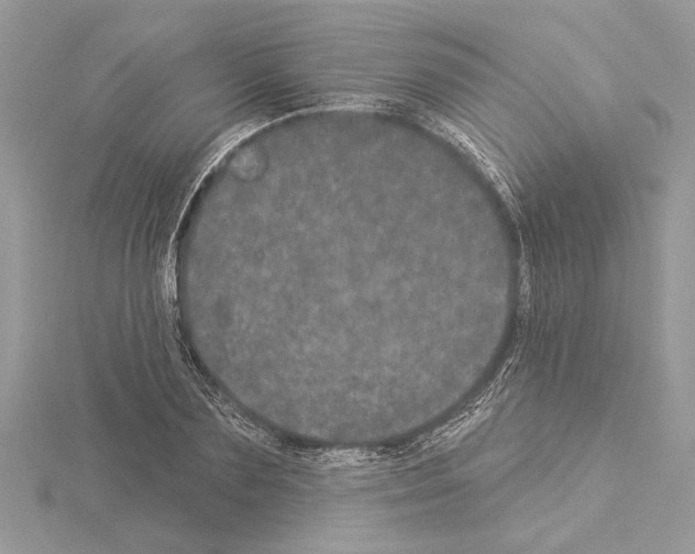 X0000114490883200911301103