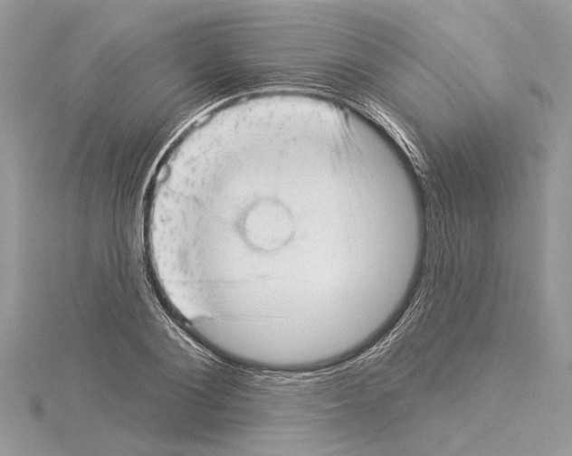 X0000114490884200911301103