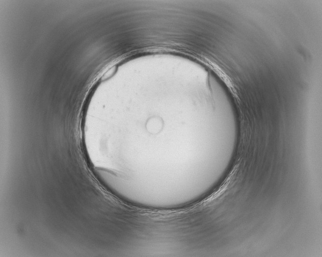 X0000114490885200911301103