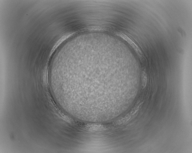 X0000114490886200911301103