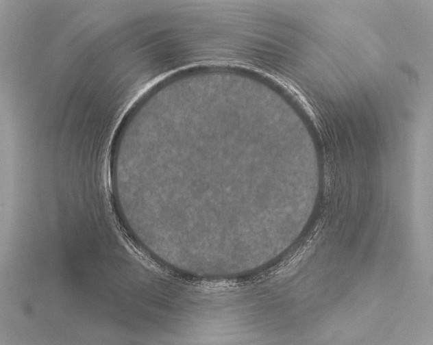 X0000114490887200911301103