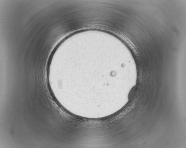 X0000114490888200911301103