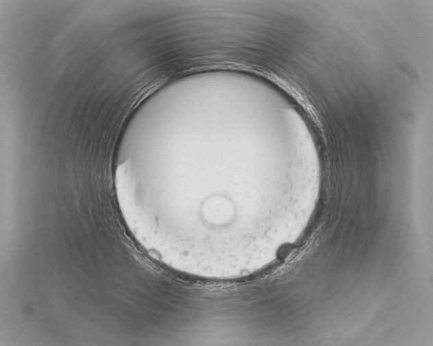 X0000114490889200911301103