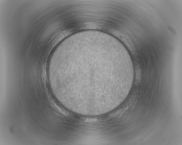 X0000114490890200911301103