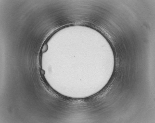 X0000114490891200911301103