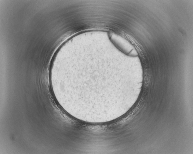 X0000114490892200911301103