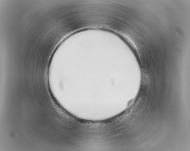 X0000114490895200911301103