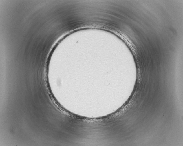 X0000114490896200911301103