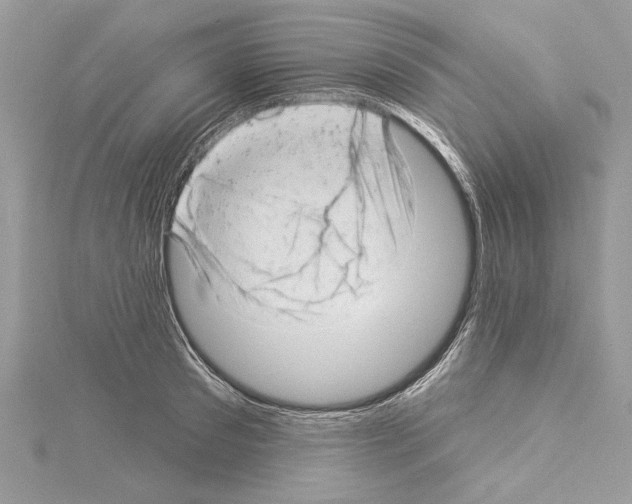 X0000114490897200911301103