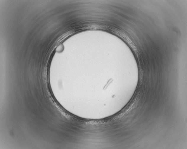 X0000114490898200911301103