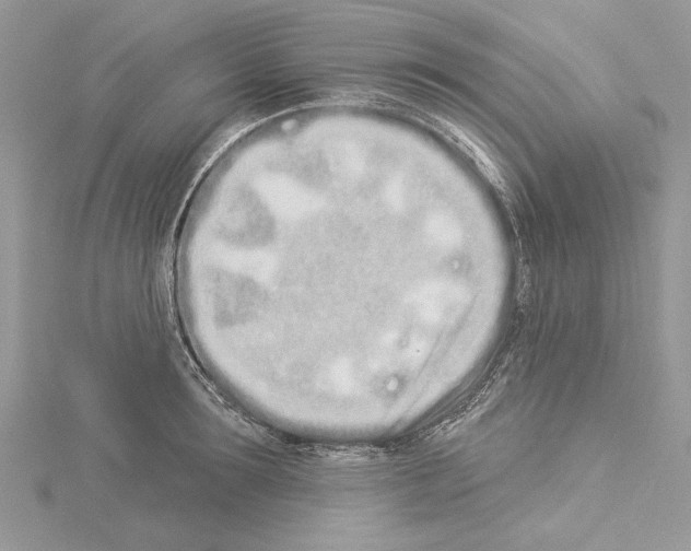 X0000114490899200911301103