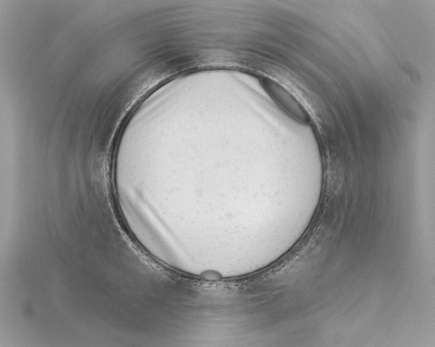 X0000114490901200911301103