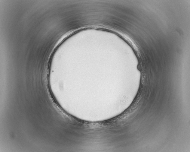 X0000114490903200911301103