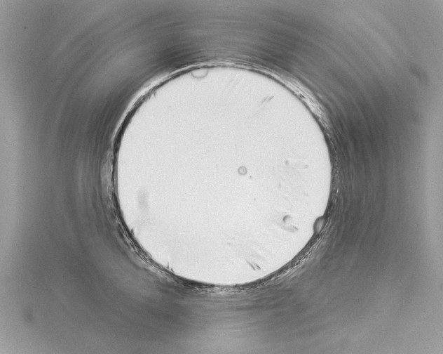 X0000114490904200911301103