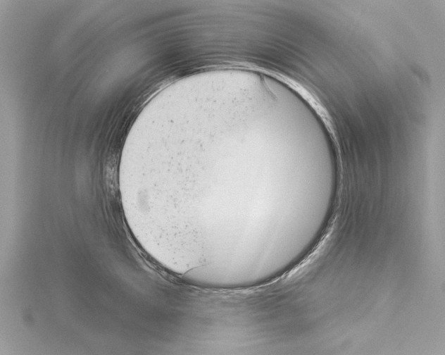 X0000114490905200911301103