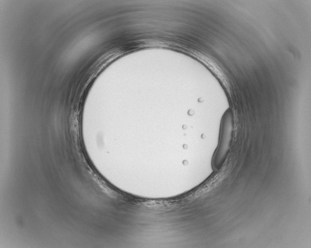 X0000114490906200911301103