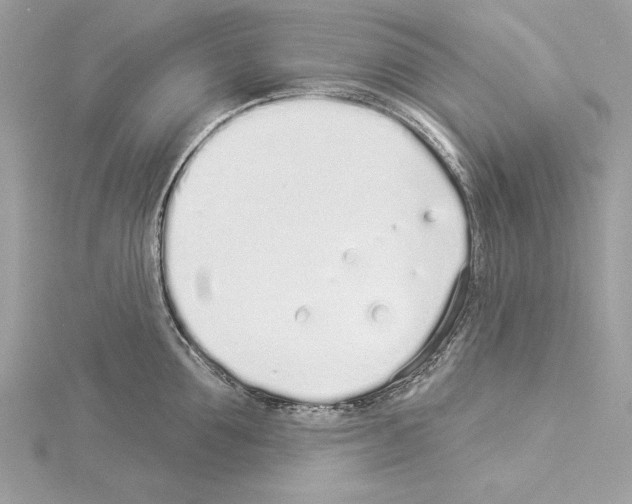 X0000114490907200911301103