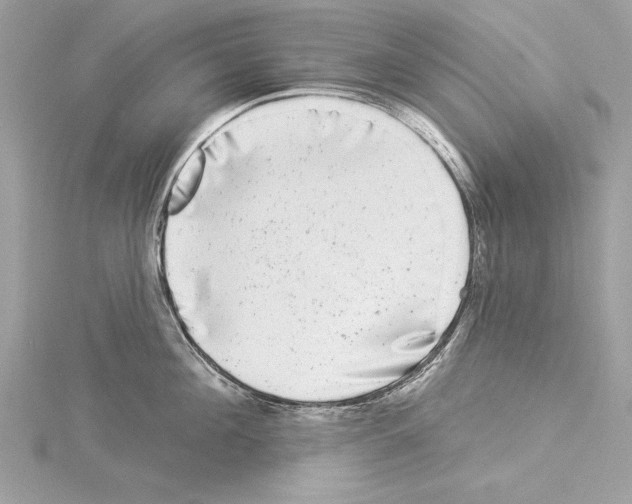 X0000114490908200911301103