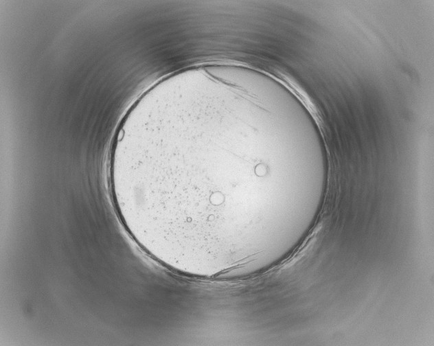 X0000114490909200911301103