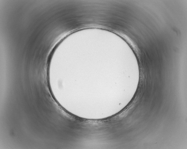 X0000114490910200911301103