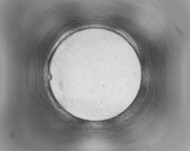 X0000114490911200911301103