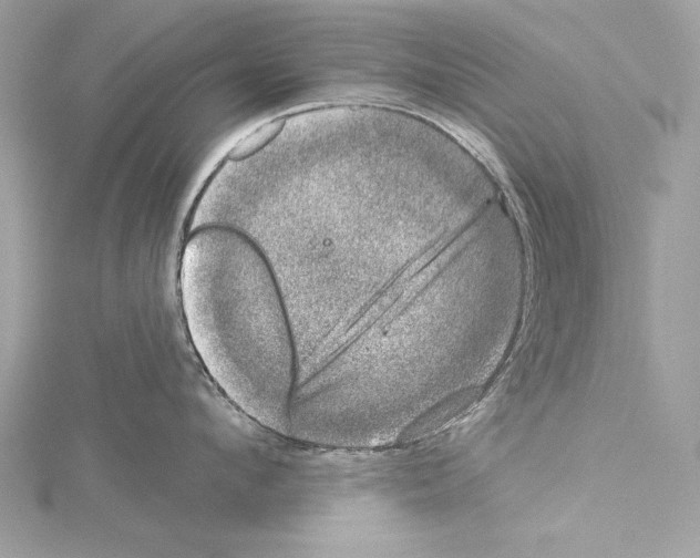 X0000114490912200911301103