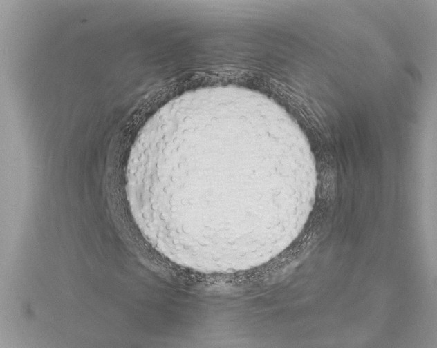 X0000114490913200911301102