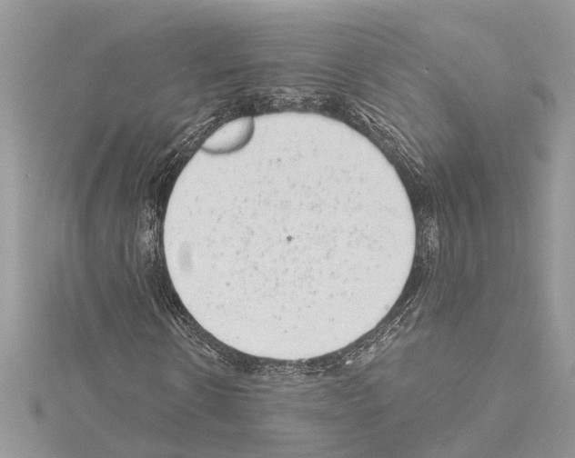 X0000114490914200911301102