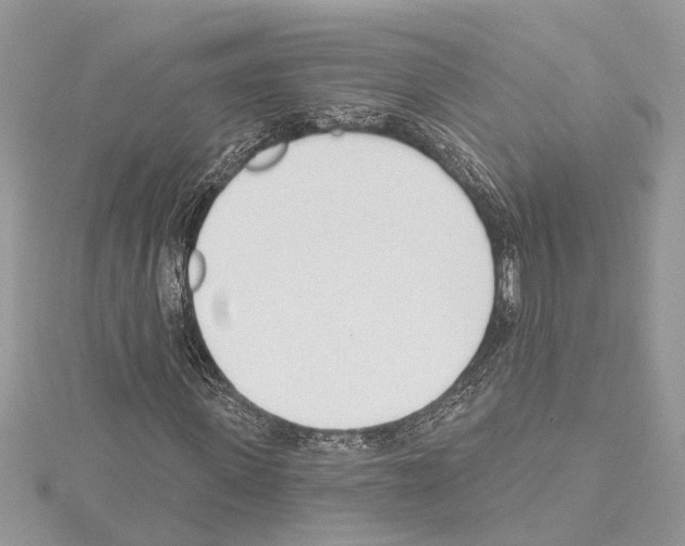 X0000114490915200911301103