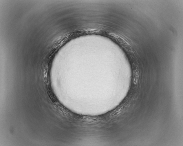 X0000114490917200911301103