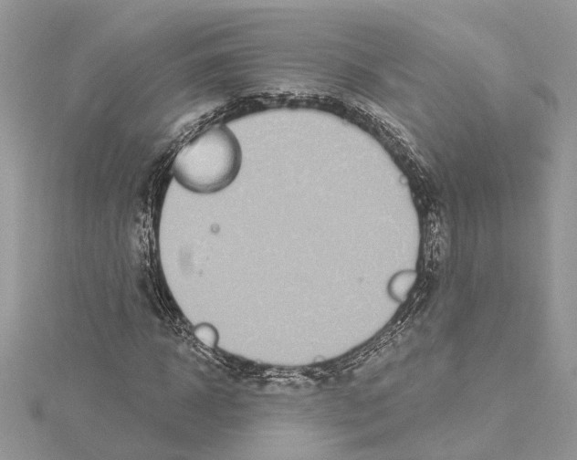 X0000114490918200911301103