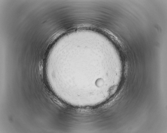 X0000114490921200911301103