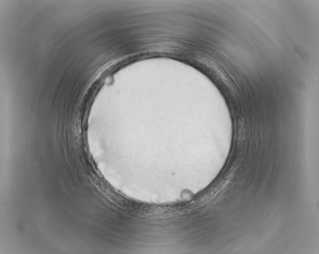 X0000114490923200911301103