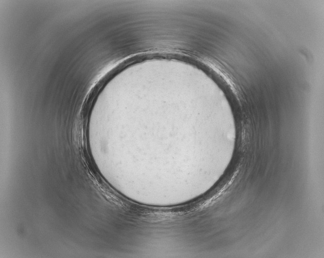 X0000114490925200911301103