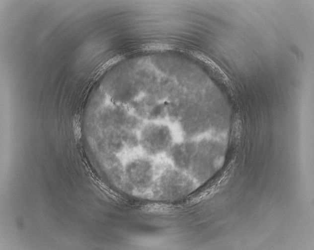 X0000114490929200911301103