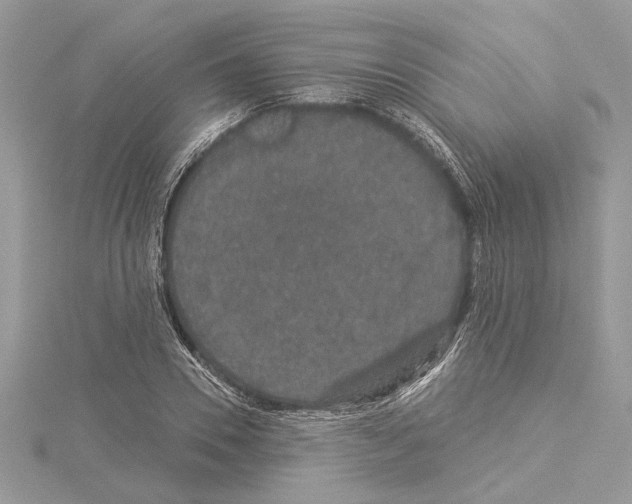 X0000114490930200911301103