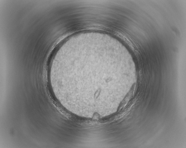 X0000114490931200911301103