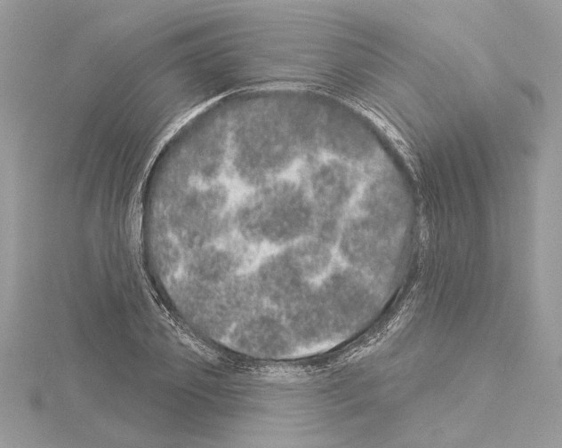 X0000114490933200911301103