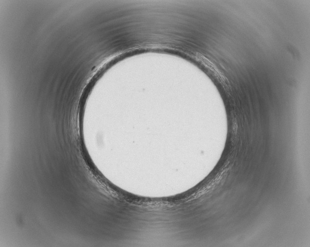 X0000114490934200911301103