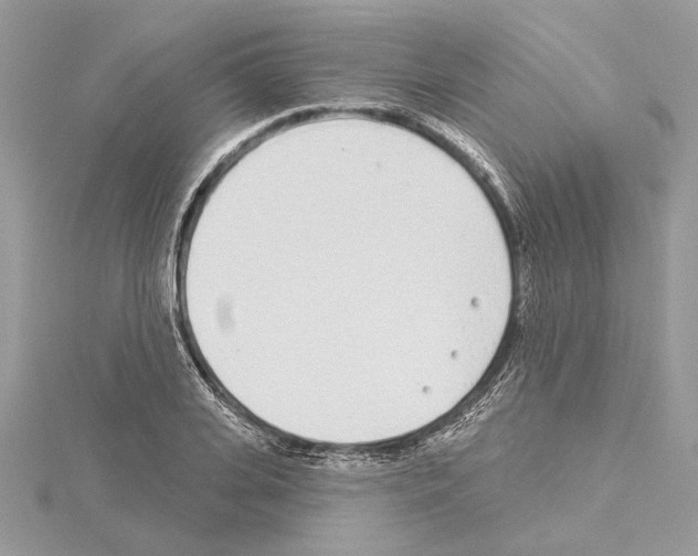 X0000114490935200911301103