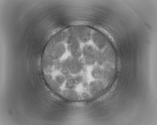 X0000114490937200911301103