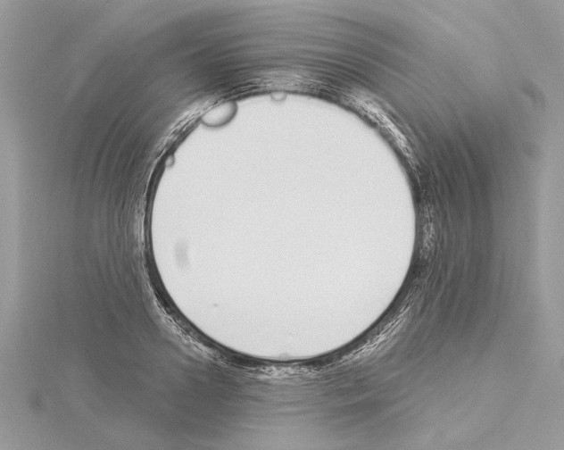 X0000114490938200911301103