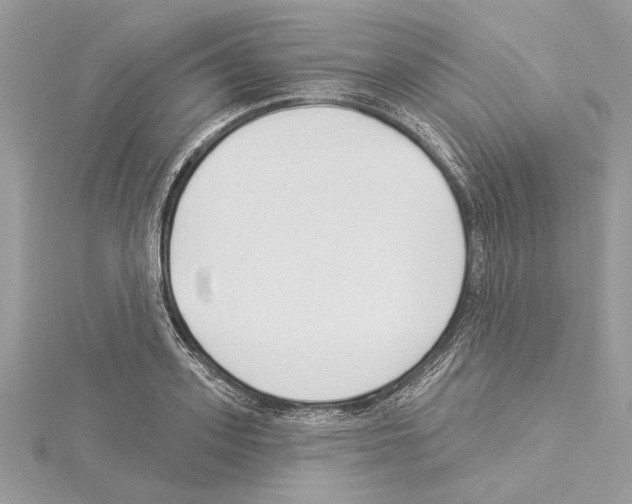 X0000114490939200911301103