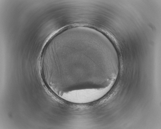 X0000114490941200911301103